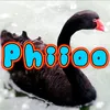 phiioo_2509