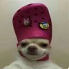 jaz._2028
