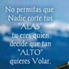 cesar.rs04