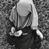 fridaayu68