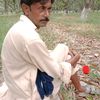 allah.nawaz39