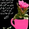 syyadazmatali