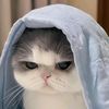 khani.says_