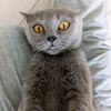 sosiska_0920