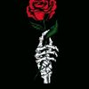 user38124475661973