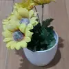 1lovelychemical