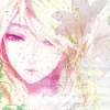 user2558739160613