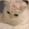 layaly_0_1