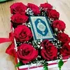 loppp156