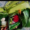 user.mbahbumi