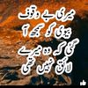 muhammadnaseem6291