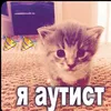 limonchikars