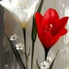 blnd2066