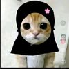 zxzx.olif