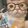 ayoko_na1223