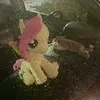 itsur.avi