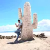 chinomatias05