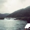 elisaamet22