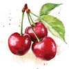 yokarisweet83