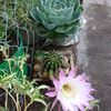 ren.gonzlez.flore