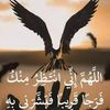 user6805024192993