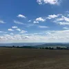 stofi_666