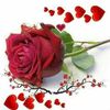 💞Ashna nisam💞