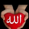 user1281448830695