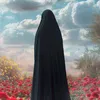 san_ad313