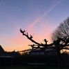 b_roosendaal