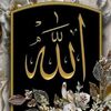 seadd125