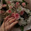 fatima.fawzi17