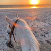 aicha_dh_51