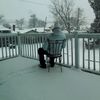 www.smm_menager_uzb