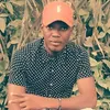 young.stylo.dsir