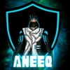 aneeqraza42