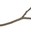 aki34054