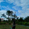 allisonmelendres03