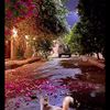 abuhachem2030