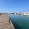 8rli_oi