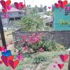 juacintha.arthur