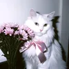 _gxil.abe