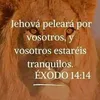 arydbaby187008