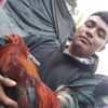 wilianrax8