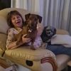 alisons_adventures