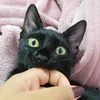www.ninicxz