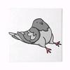 cheyenne_pigeon