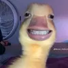 luc48nek