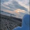 dinamica_panes