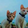 mamah.2.putri4